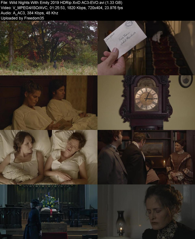 Wild-Nights-With-Emily-2019-HDRip-Xvi-D-