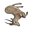 carcass-rhimgazelle.png