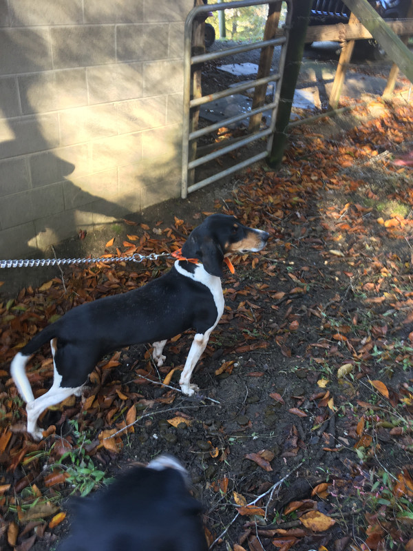 1B5A3CBF-CCBE-4863-802D-0DA2B0E3B64D