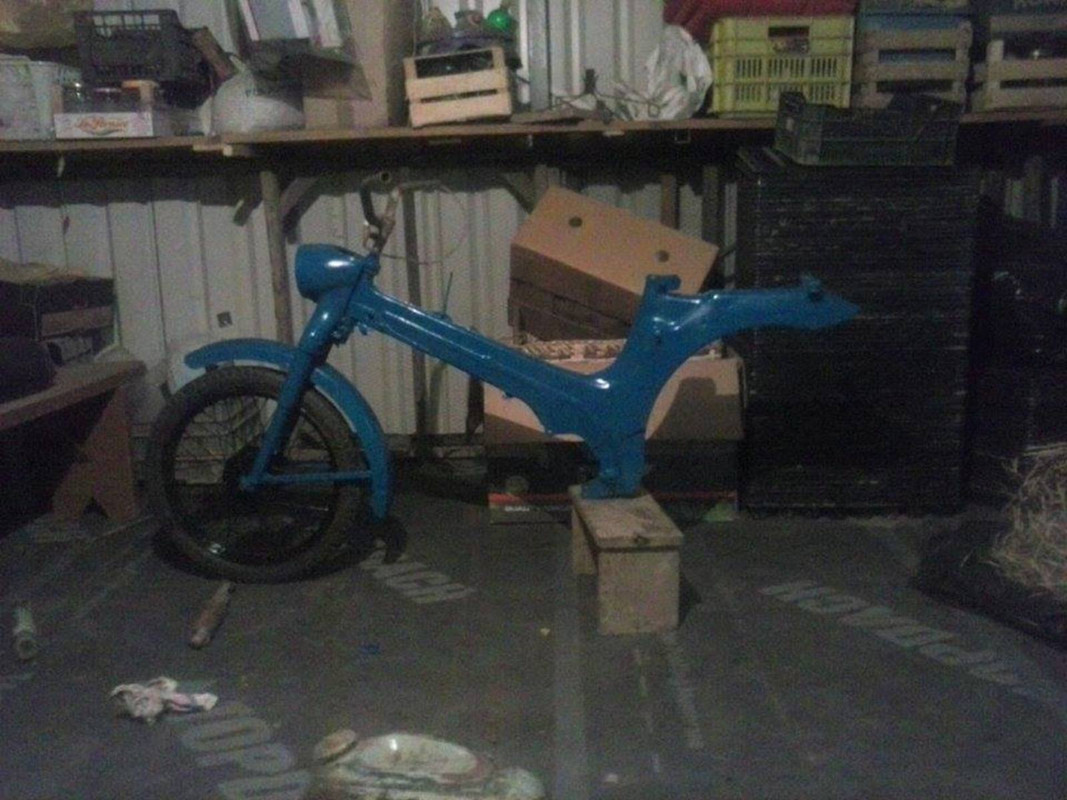 1017533_290633504450214_7933588246208939099_n