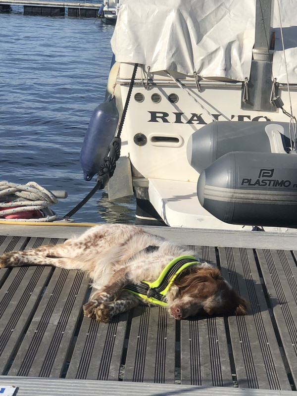 CB69DD93-13D7-49EC-85E7-6580F3CD9AF8