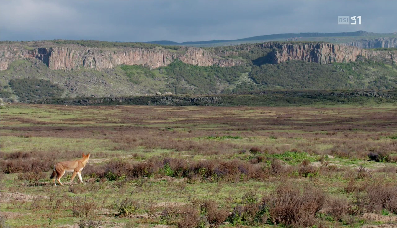 vlcsnap-2016-12-12-12h07m32s840