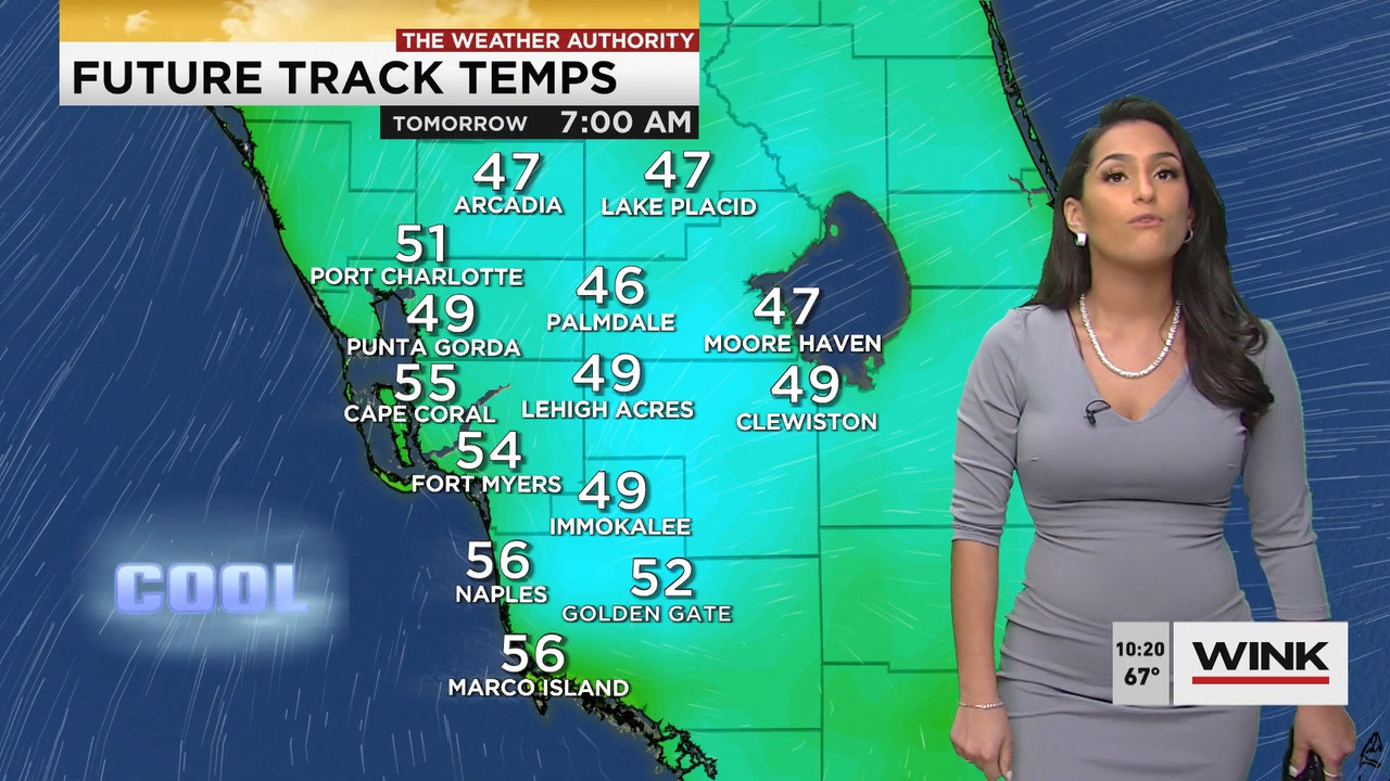 01.21 - 15.00.00 - WINK News at 10 00AM..ts_snapshot_00.26.01.409