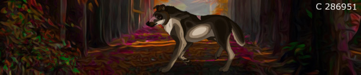 A0288D86-82F4-4E8C-883D-E0FAADC56EE5