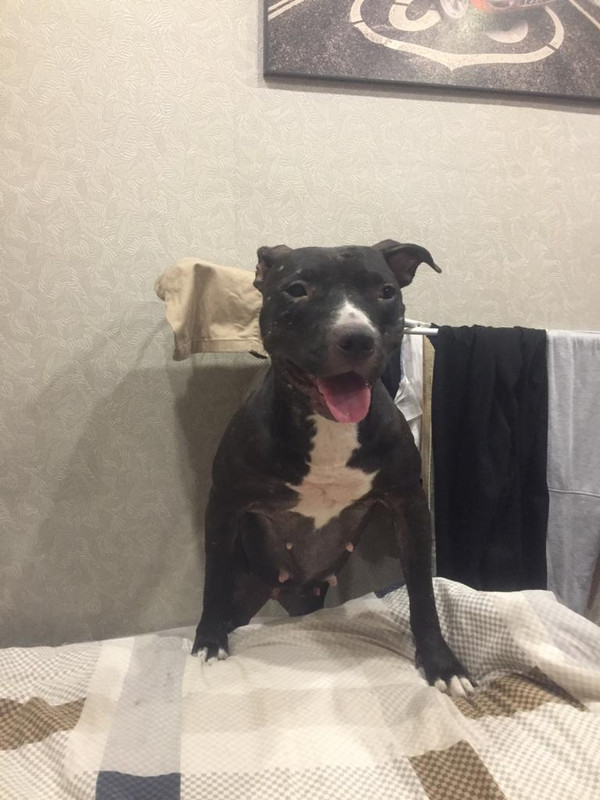 0C1D4119-8676-4CB7-B99F-A73798189670