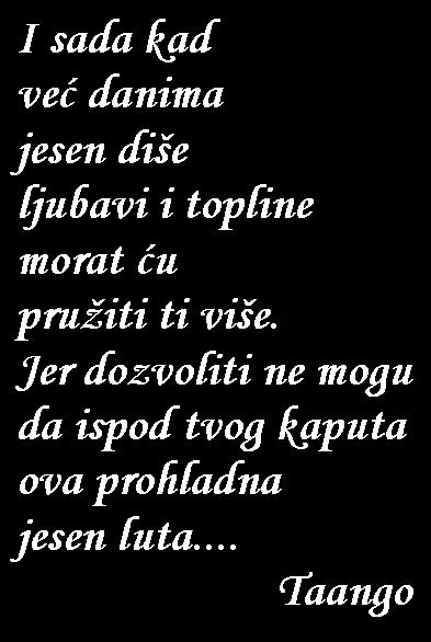 Snimka-zaslona-2025-10-31-201745