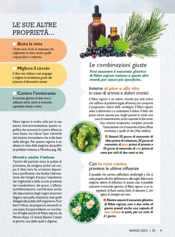 Sal Nat  Mar 2023 (4)