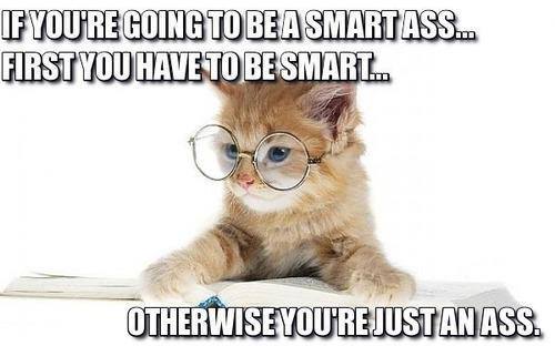 cat-smart-ass.jpg
