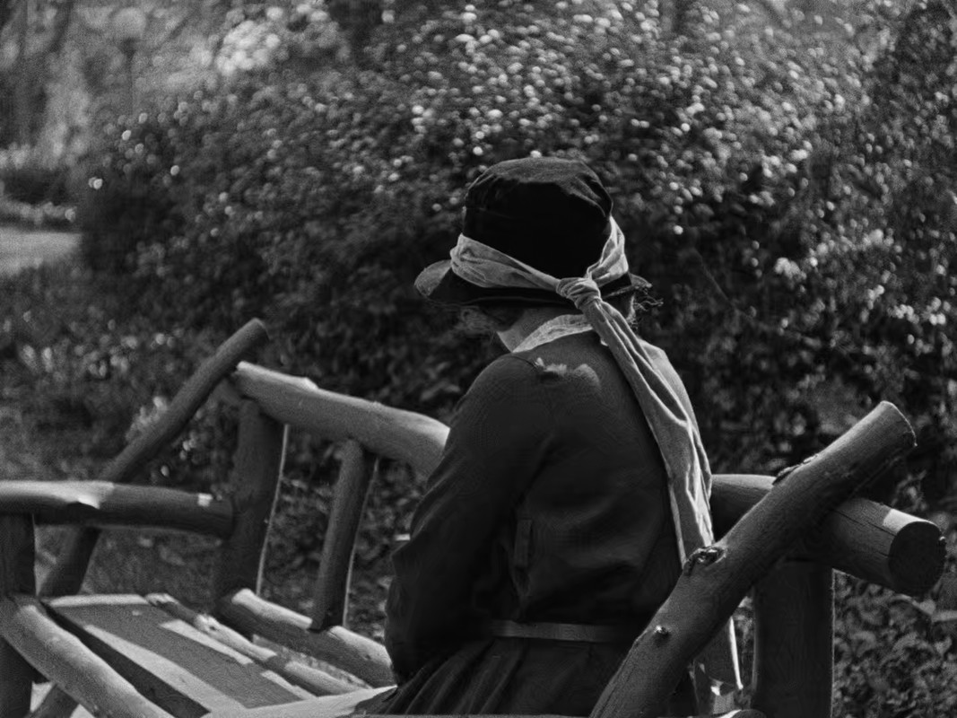 The Kid 1921 Criterion (1080p x265 10bit Tigole)