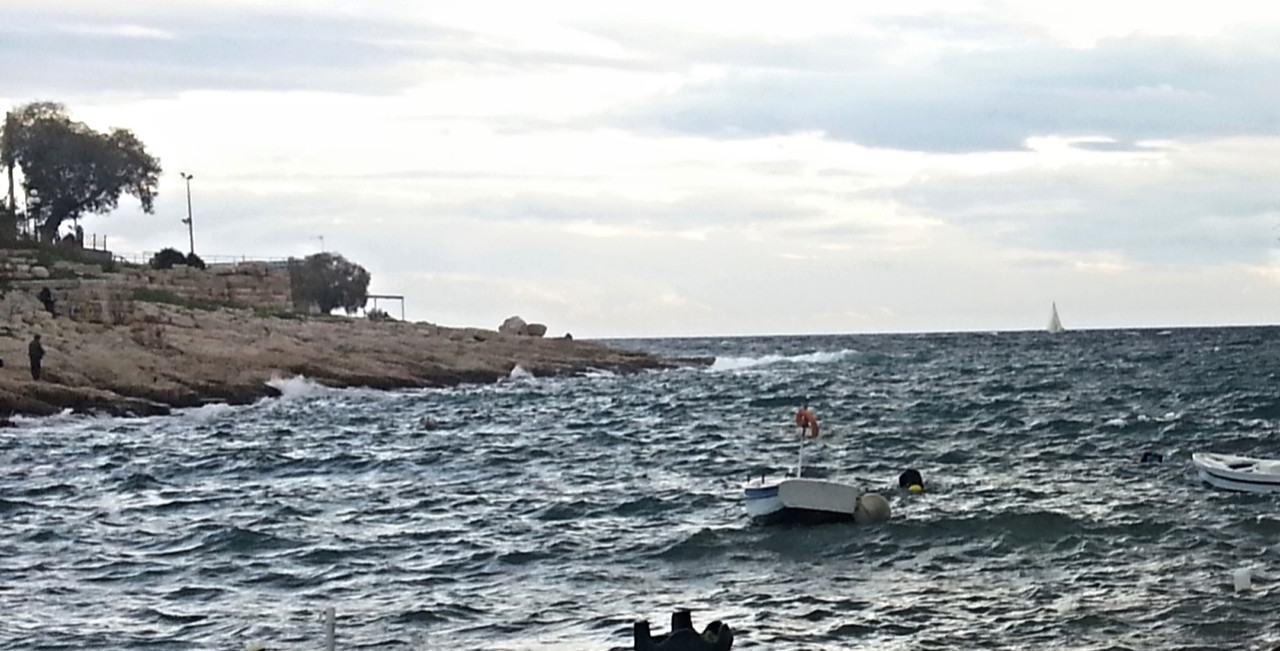 22773048538_e98b81c4b8_o