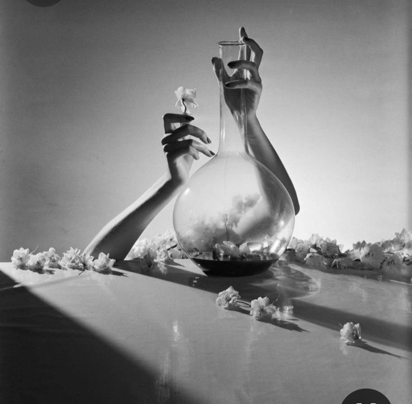 Screenshot_20230729_235023_Pinterest