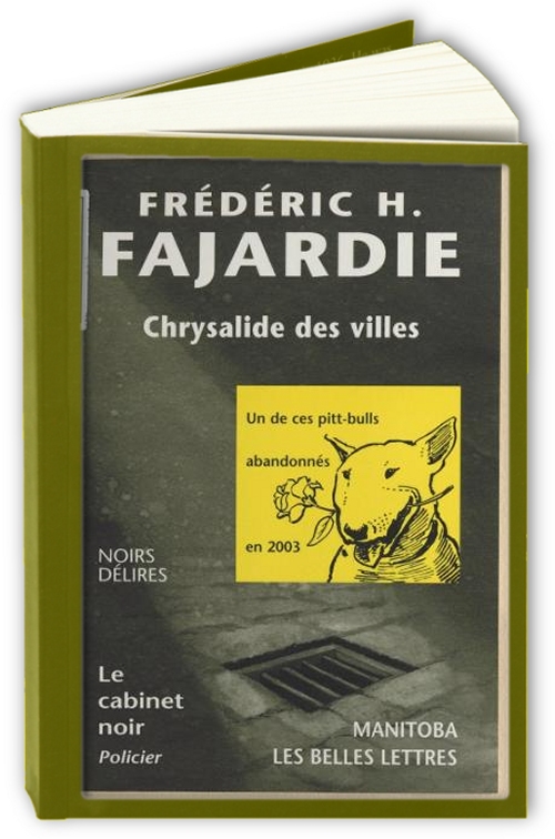 Chrysalide-des-villes-Fr-d-ric-H-Fajardie.jpg