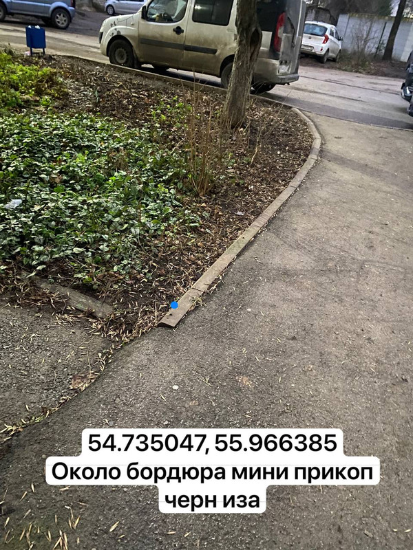 photo 2025 11 28 06 34 39