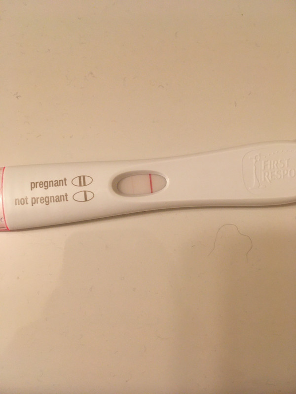 D5015C83-F586-4682-B137-CF4881E1BFF9