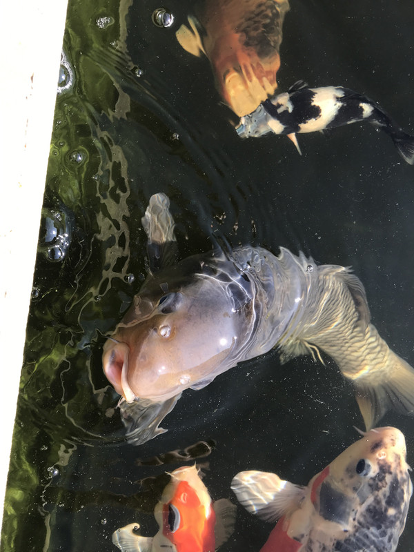 B7D6C44E-0F27-4BE2-B017-A0A2AD284C7F