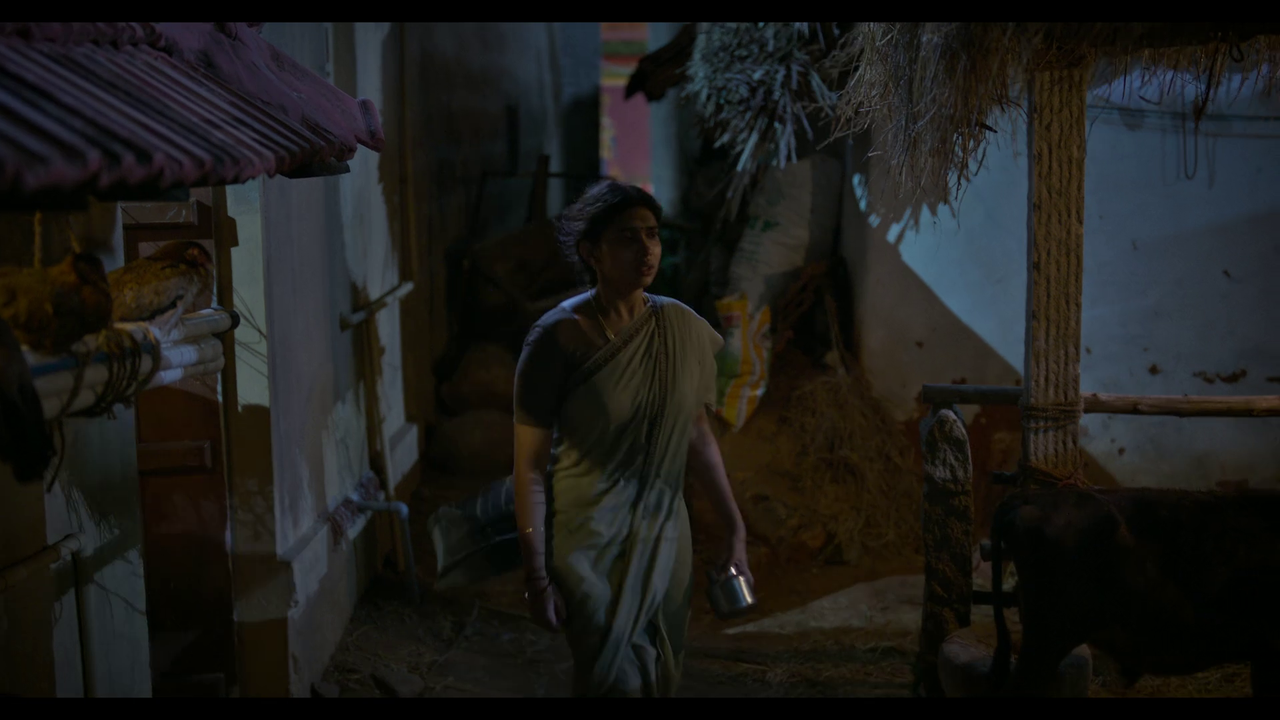 vlcsnap-2025-04-24-21h23m23s688