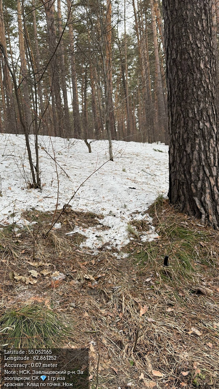 photo 13 2026 04 05 16 33 34