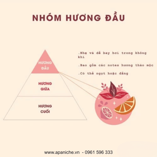 [Image: huong-dau-trong-nuoc-hoa.png]