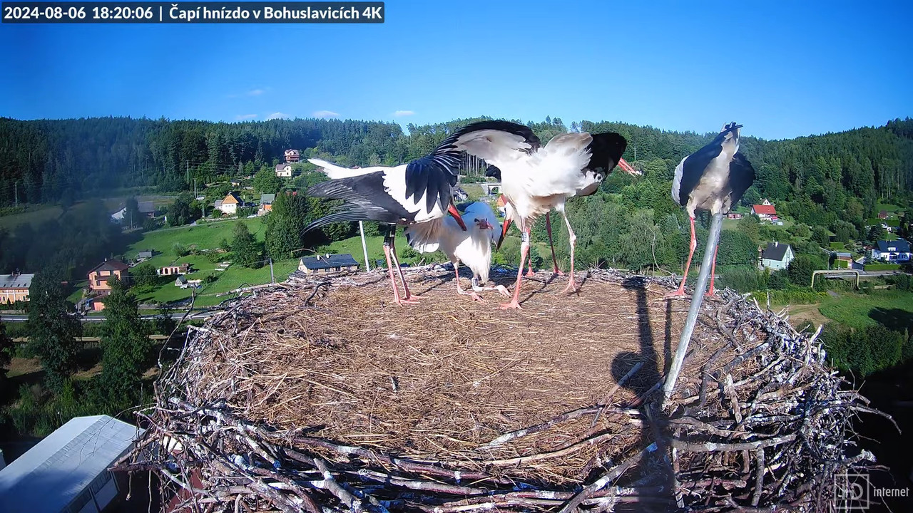 Tiešraidē no uzņēmuma KARA stārķa skursteņa Bohuslavicē pie Trutnovas 14-59-30 screenshot