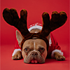 Icons-Xmas-13
