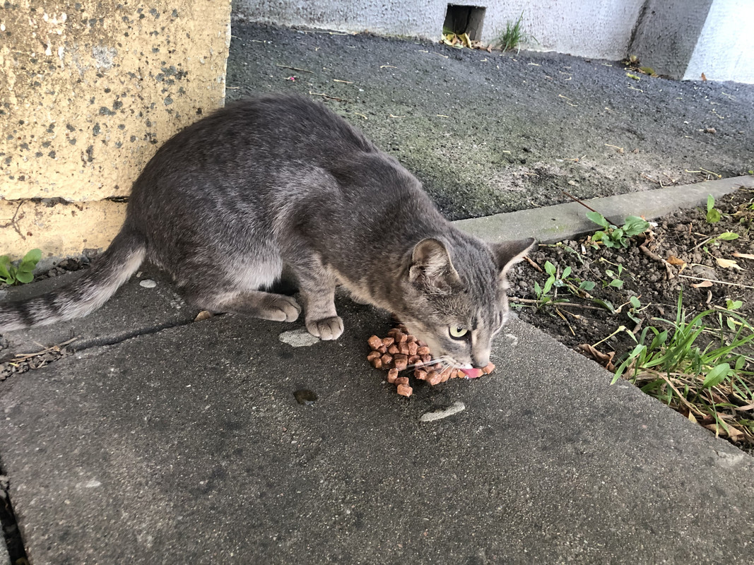 BC9B5EDF-DF8D-460B-8C61-9C369384E5EF