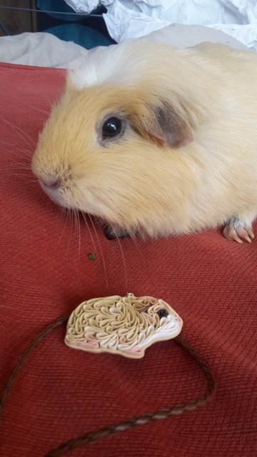 Sophie-with-her-lookalike.jpg