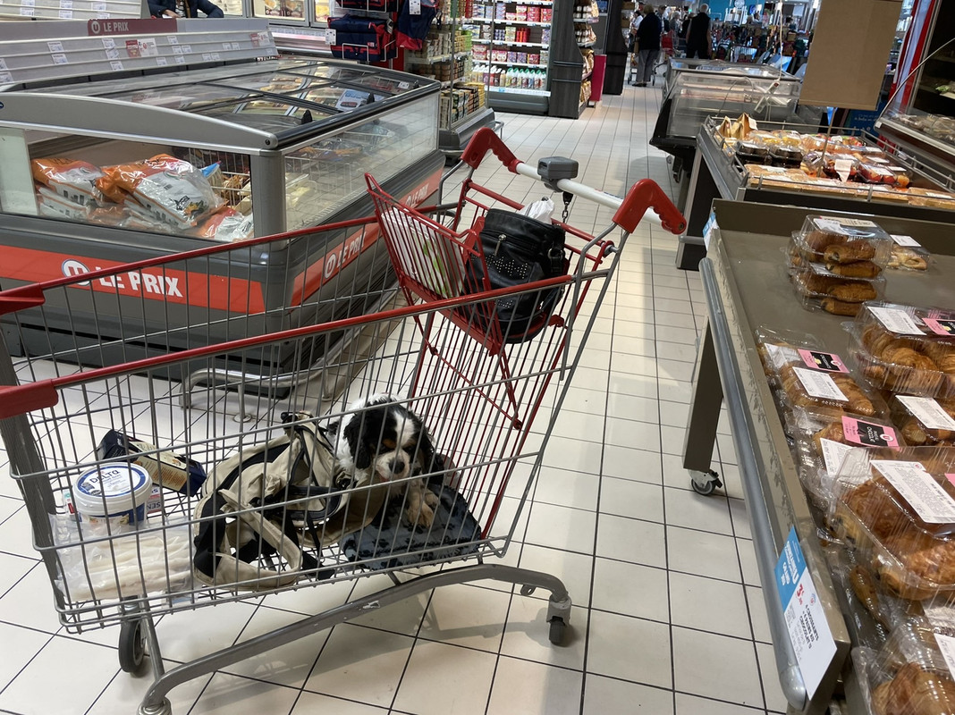 61043575-B7B5-4E74-A9BE-2F699E20957C