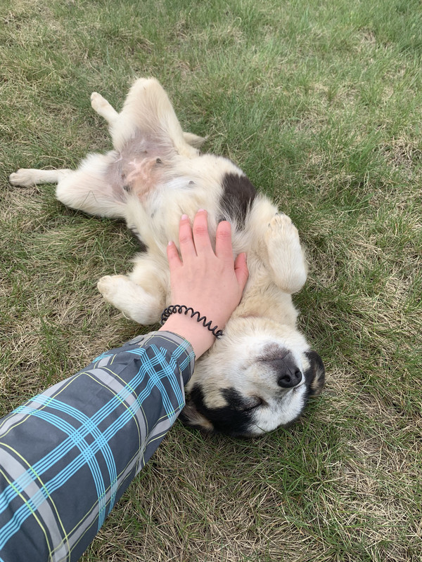 1AB0A0C3-26C3-4E82-BB18-8B1333584835