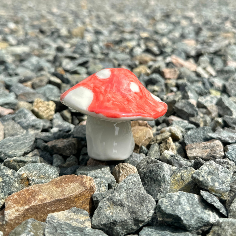 006DurXoly1hhh3vq5a3vj31xf1xfqv5