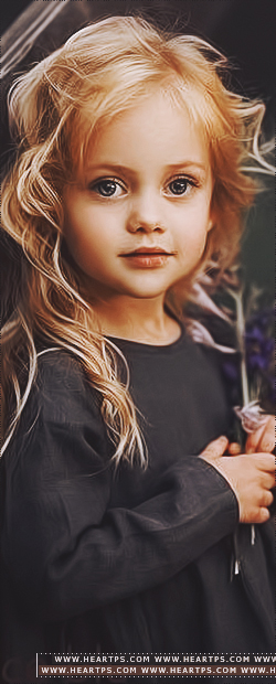 ���� ���� ������ �� ���� ������