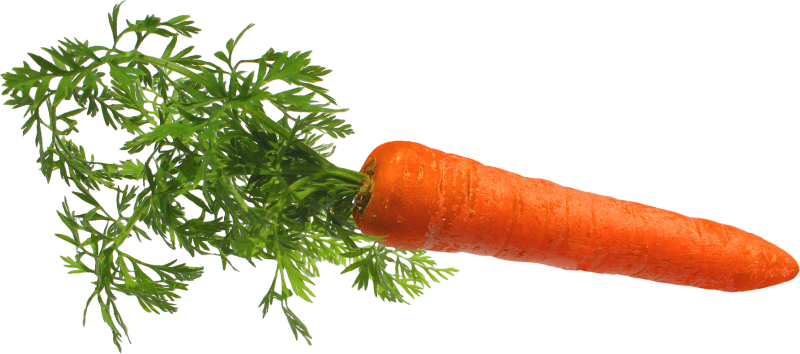 0_1c0bcc_be22e0f1_orig
