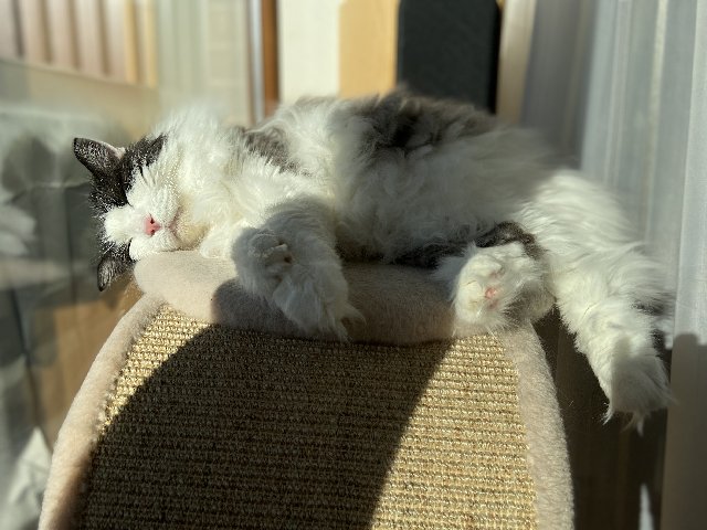 4-F8064-AE-C66-D-4-A84-8-DAF-5-D345-D94-