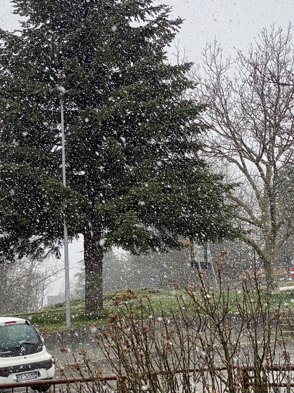 666B464C-572F-417B-BE24-3EB76A666308