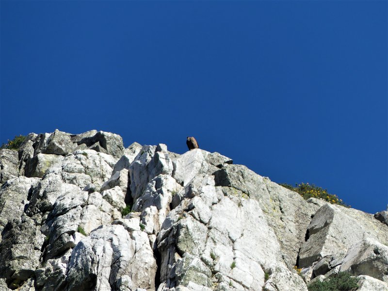 PARQUE NACIONAL DE MONFRAGÜE-2020/2023 - EXTREMADURA Y SUS PUEBLOS -2010-2023 (92)