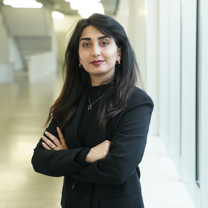 Maedeh Anisi​ 
