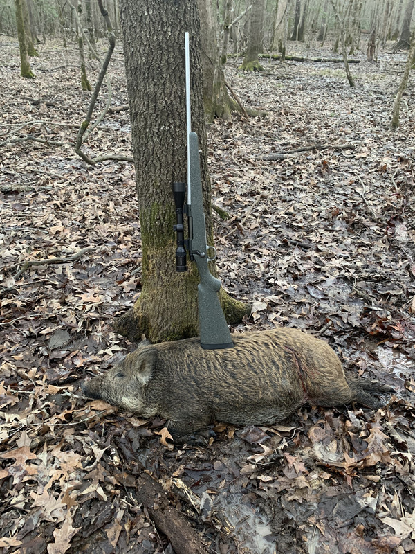 9E466B8E-7B31-4B68-B491-4FA30F9EE355