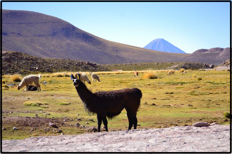 DE ATACAMA A LA PAZ. ROZANDO EL CIELO 2019 - Blogs of America South - ANEXO I. CARRETERAS (13)