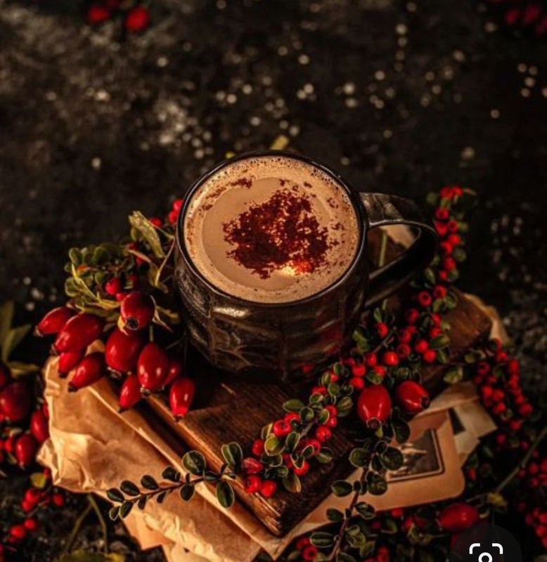 Screenshot_20231109_232512_Pinterest