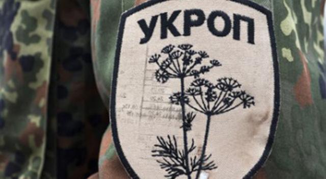Putinas apie Okrainos ginkluotųjų pajėgų puolimą (kontrnastupą)