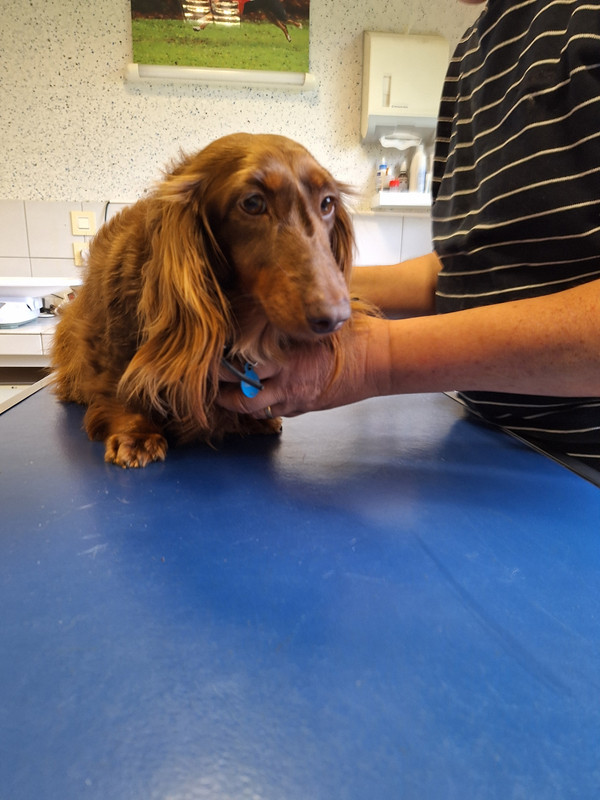 [Image: 20240419-172411.jpg]