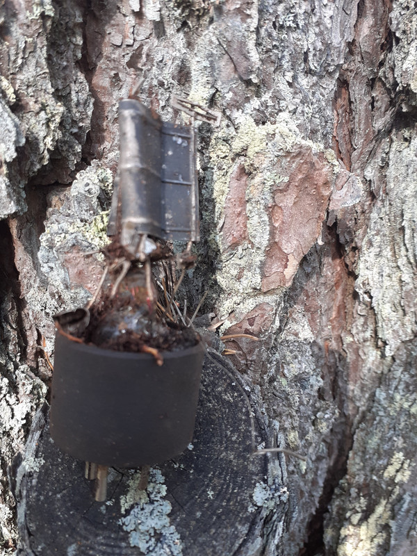 20220514_104302 – kopio