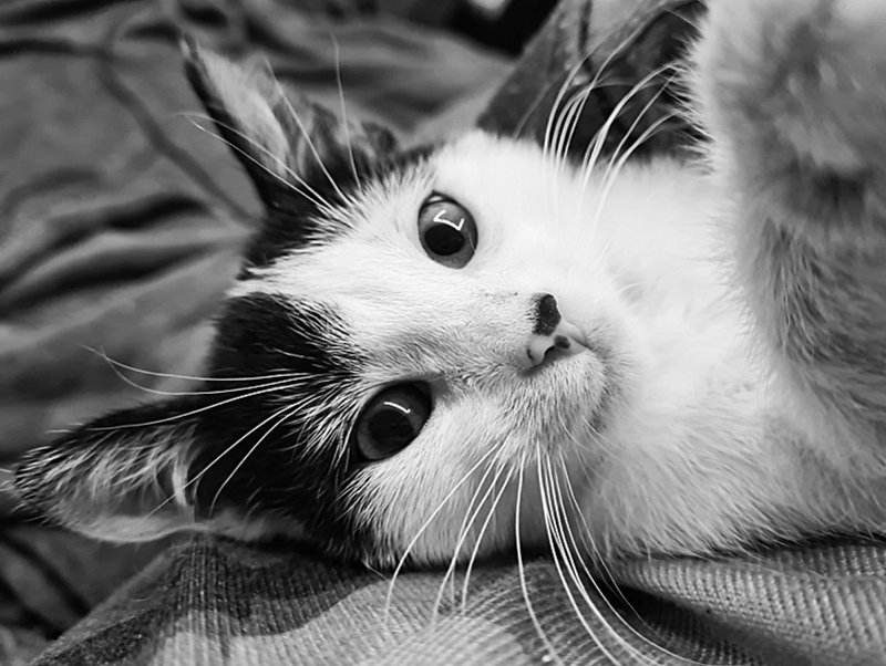 20201204-141246-02.jpg