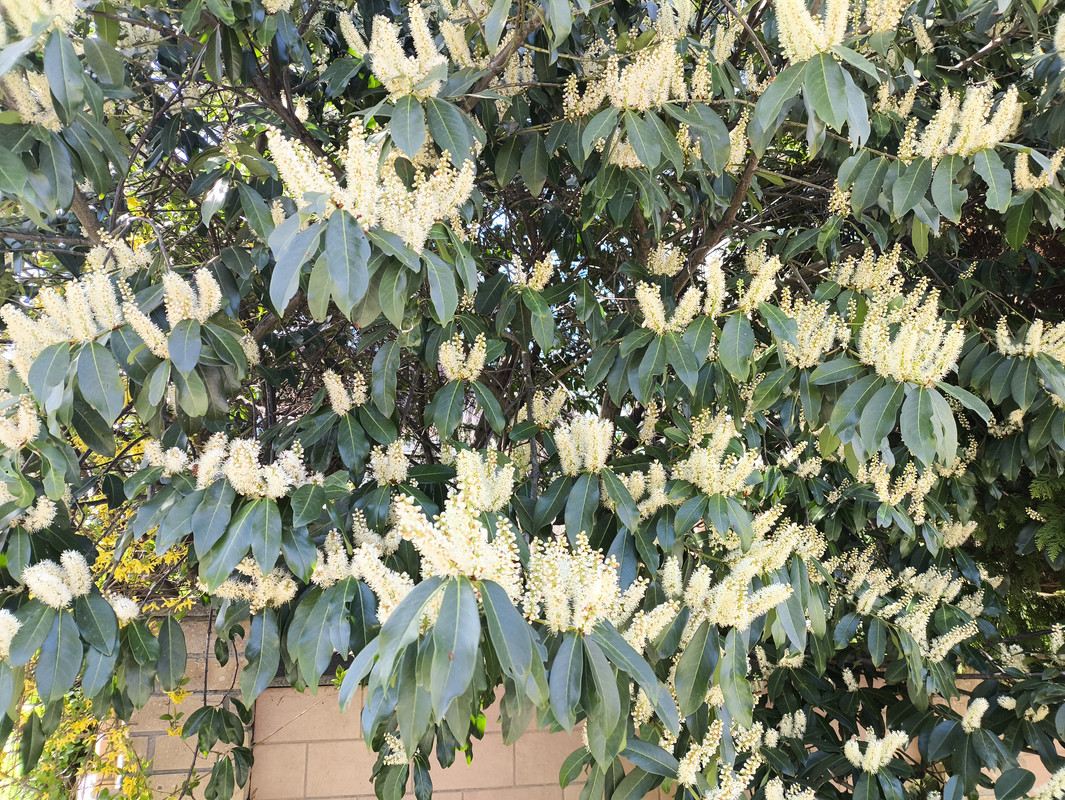 25 апреля 2025 018