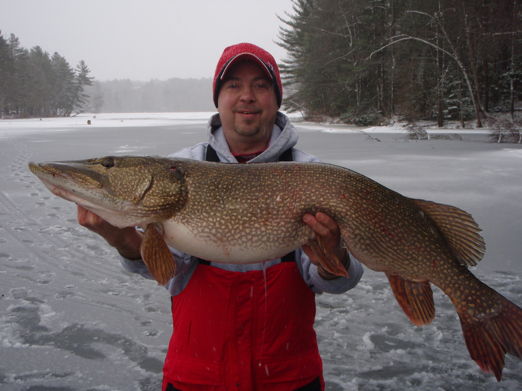 winter2010-2011 005
