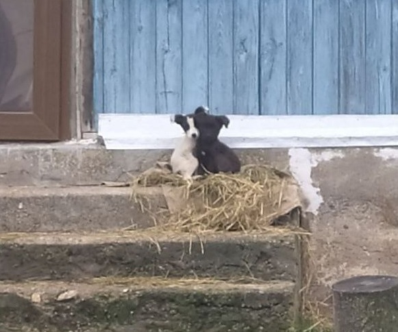 photo_2022-10-02_16-14-46