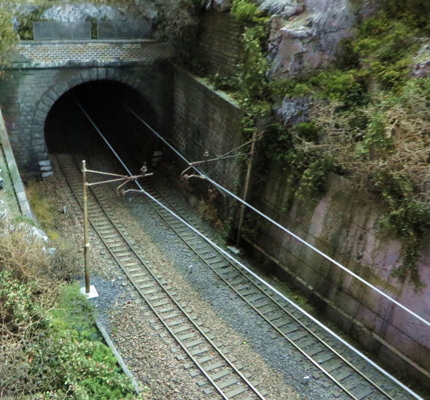 Boscoscuro 19092023 (8)