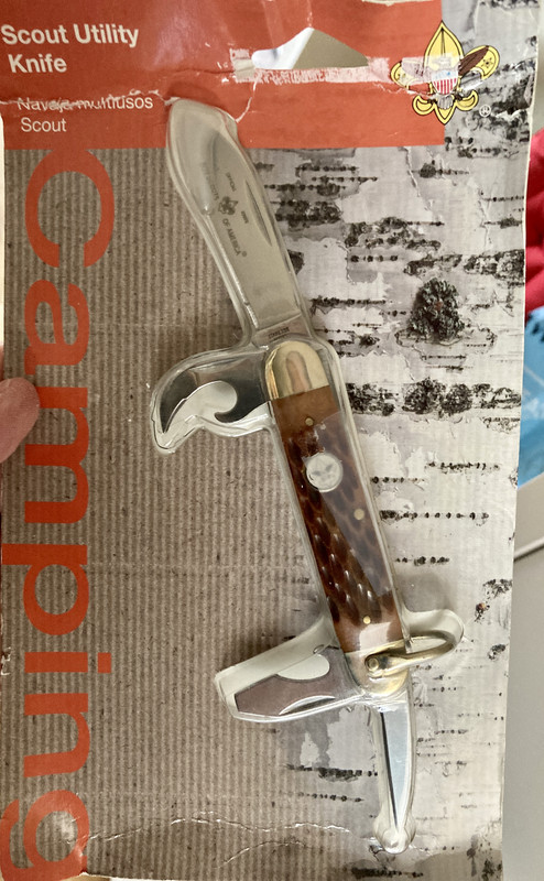 2286F60A-B907-4832-AE19-B03D1A0639ED