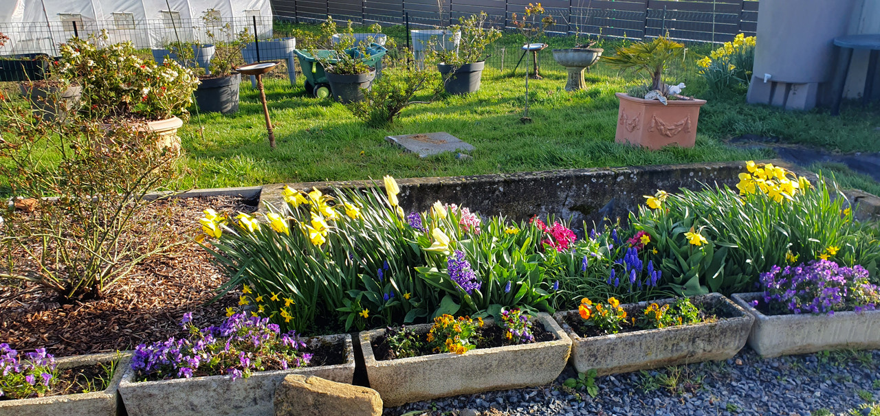 [Image: 20230331-183231.jpg]