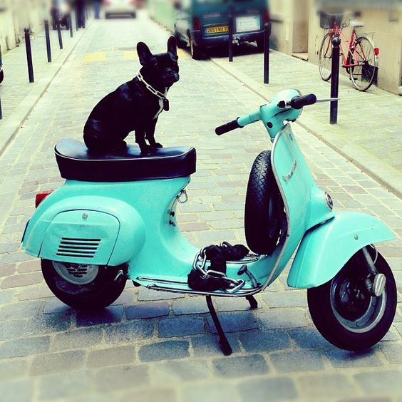 Turquisemoped.jpg