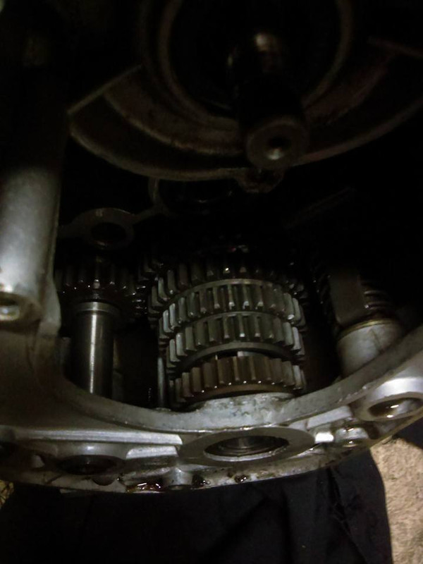 18275144_1466728693386456_2418054849112880975_n